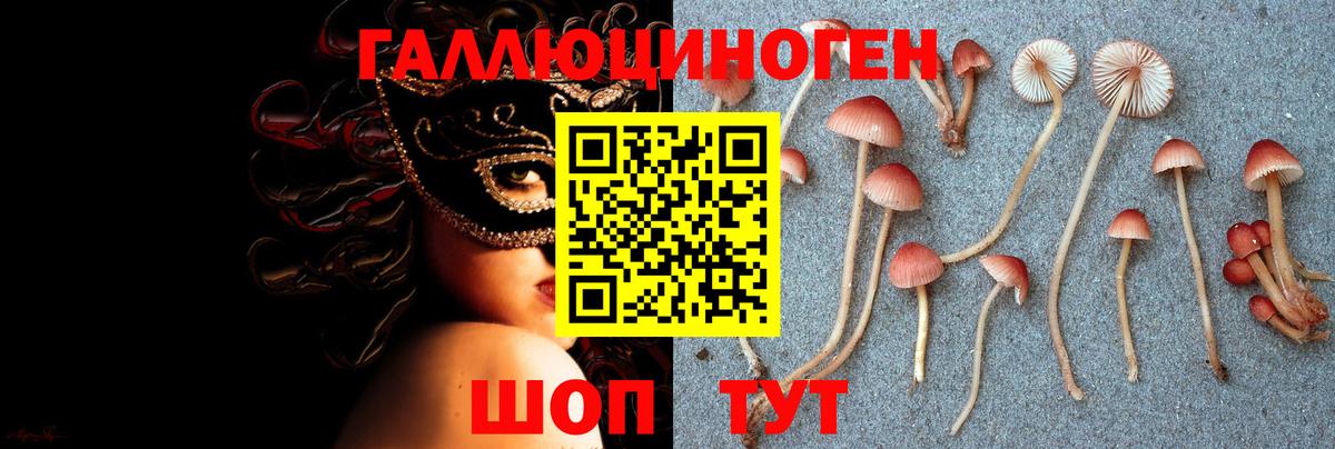 Псилоцибиновые грибы Psilocybe Качканар