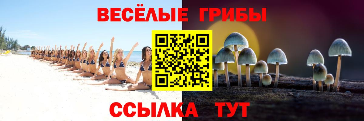 Галлюциногенные грибы Magic Shrooms  Псилоцибиновые грибы Cubensis  Вход с VPN  Качканар 